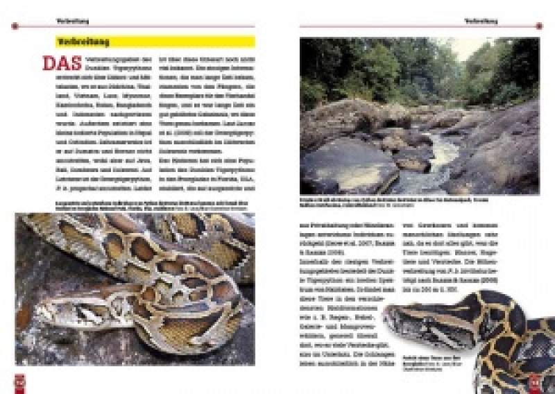 Preview: Der Dunkle Tigerpython